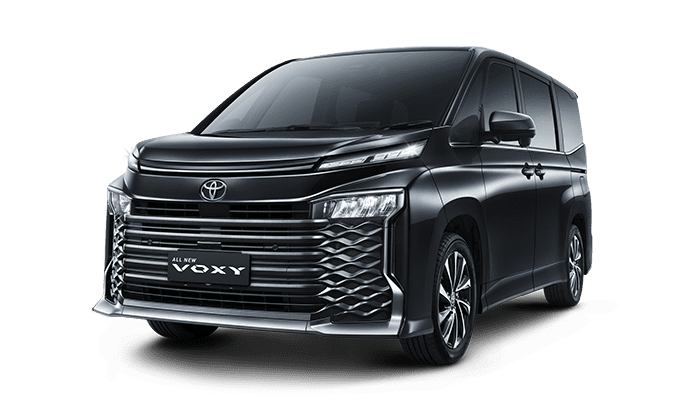 All New Voxy